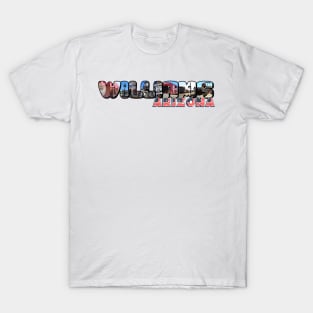 Williams Arizona Big Letter T-Shirt